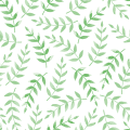 JILI电子英文原版-JILI电子APP下载·官方入口·安卓苹果手机通用版