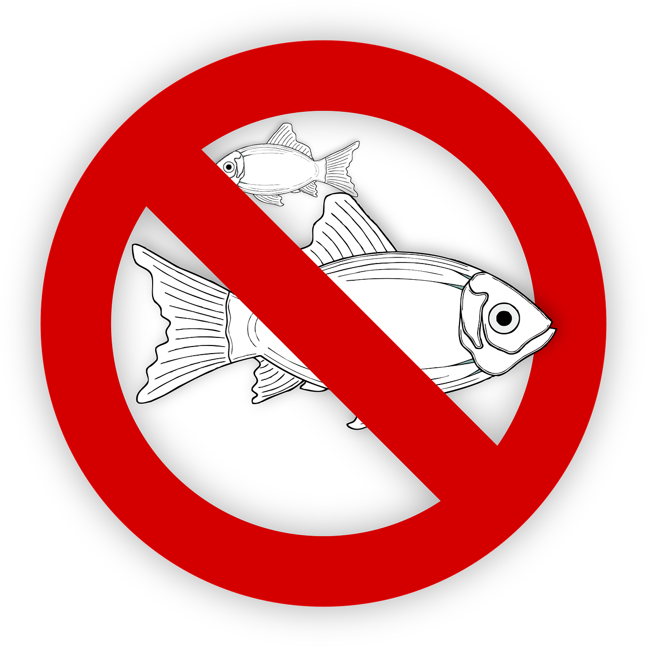 pixabay-995050-21.png